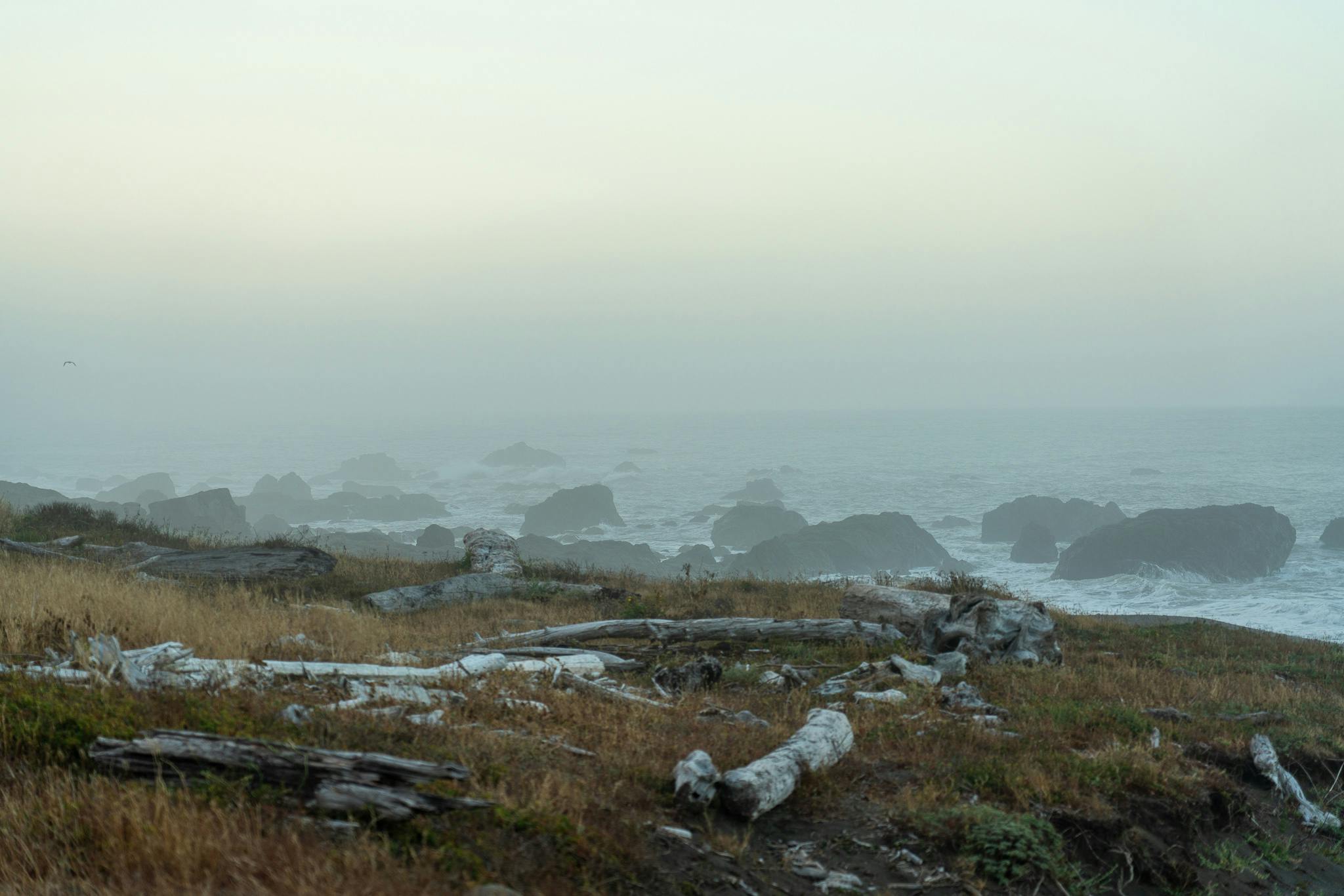 Fog and the ocean